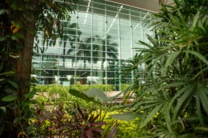 Aeropuerto José Joaquín de Olmedo